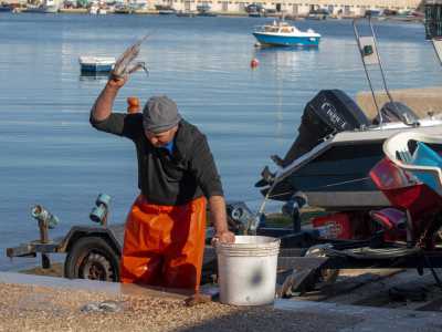 Alle loro spalle invece, sulla banchina, un anziano � intento a sbattere con una tavoletta di legno i prelibati molluschi